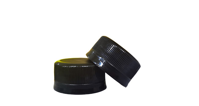 1881 12 Bottle Cap