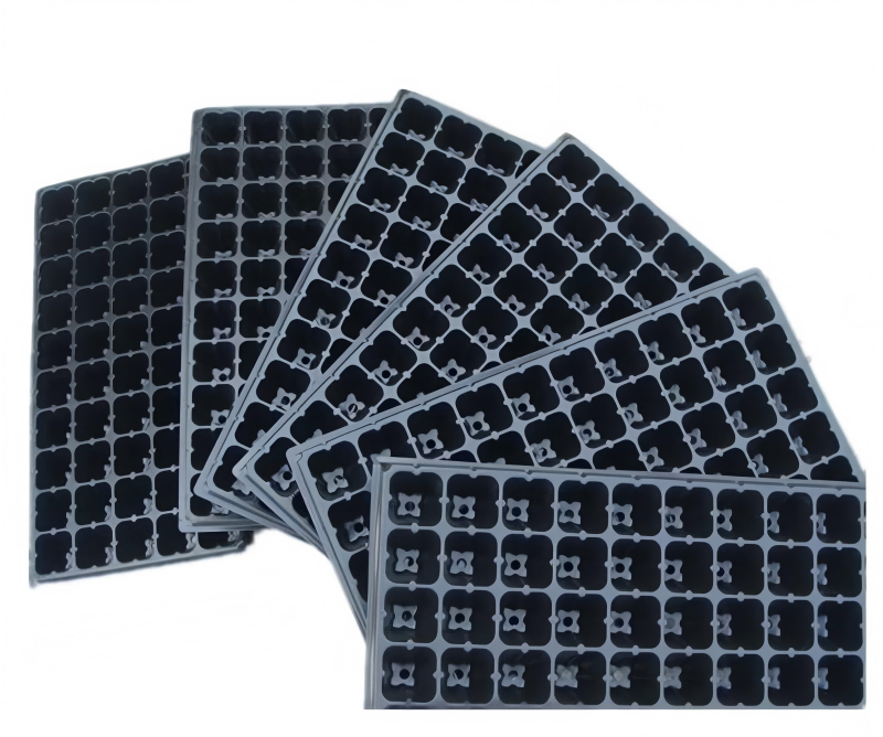 Biodegradable Seedling Trays